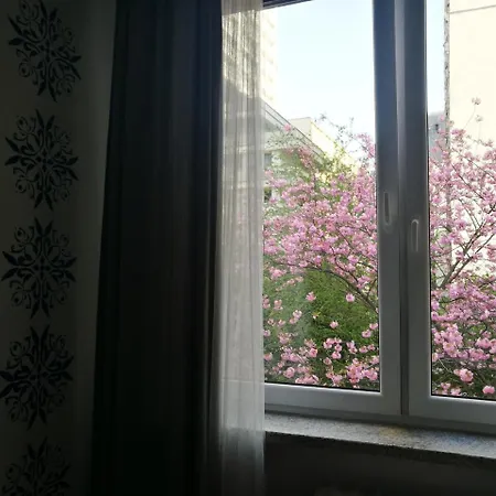 Hipstel * Warszawa