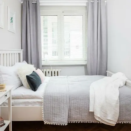 Apartment Rent Like Bonifraterska 10b