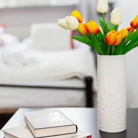 Olivia By Renters Apartment *