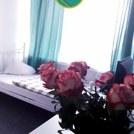 Zizi Auberge de jeunesse *
