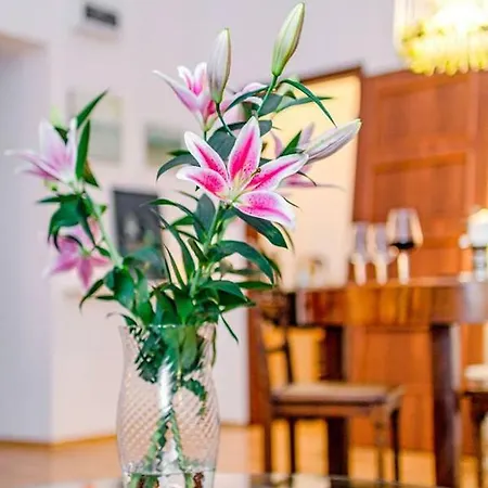 Nowy Swiat Apartment *