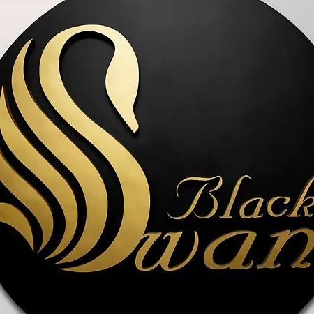 Apartament Black Swan Place
