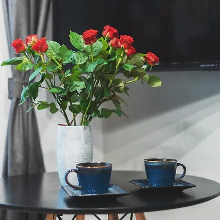 Sleepwithus Kopernika 28 Apartament Warszawa