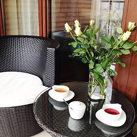 100 Sqm Luxury Apartment Wilanow Apartment