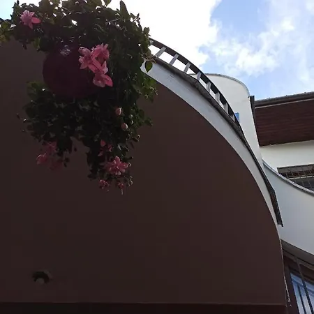 Hostel Hotel-hostel Saska *