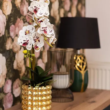 Apartment Praga Modern Lukowska By Renters Warsaw