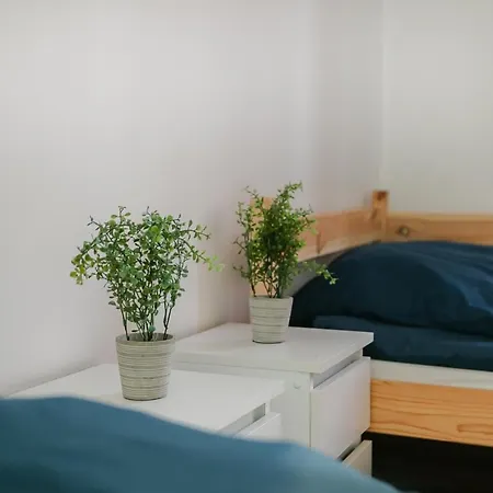 Kiwi4u Albergue