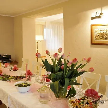 Willa Amfora Guest house