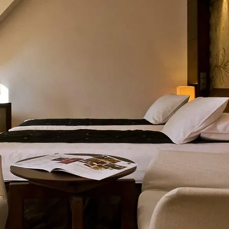 Mamaison Le Regina Boutique 5* Varšava