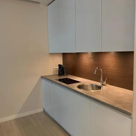 Luxury In Platinum Tower * Varşova