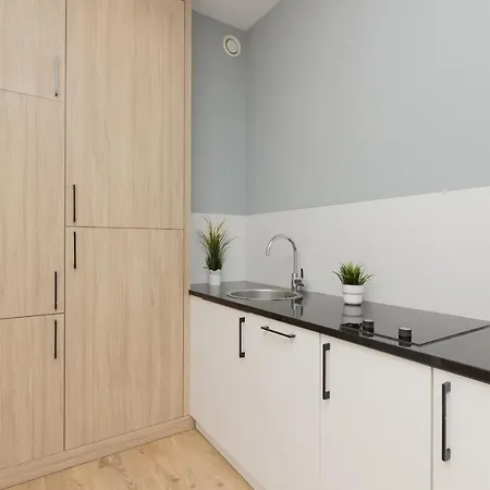 Wola Pet-friendly With Ac Slawinska By Renters * 华沙