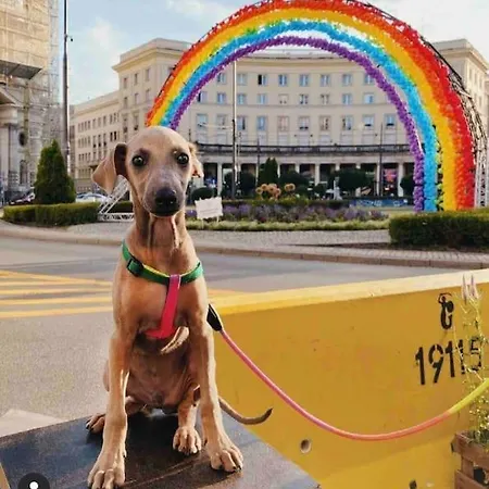 Romantyczny, Nowoczesny W Sercu Placu Zbawiciela! *