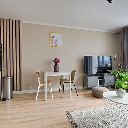 Privilage Location W Centrum Daire