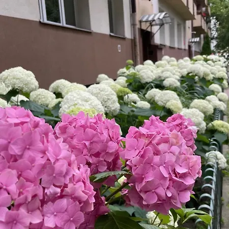 Na Muranowie - Mieszkanie Z Historia I In Muranow - A Flat With History Daire Varşova