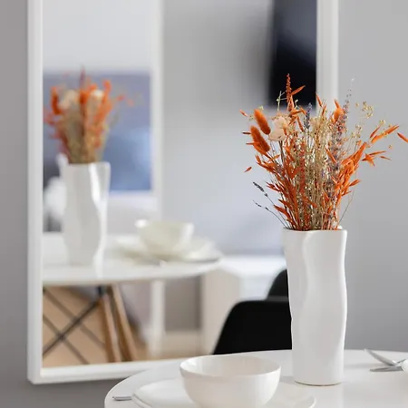 Wola Pet-friendly With Ac Slawinska By Renters * 华沙
