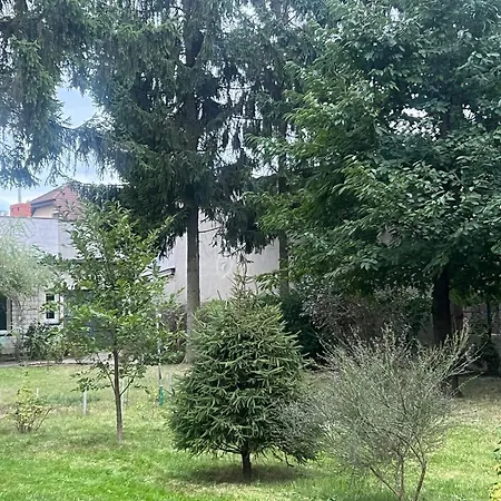 Mieszkanie 1 Pokojowe Z Dostepem Do Dzialki, Ogrodu Warschau