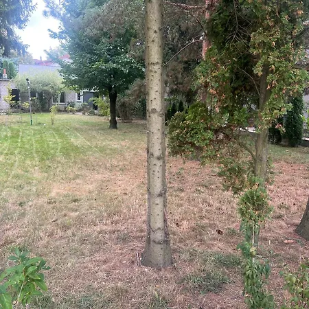 Mieszkanie 1 Pokojowe Z Dostepem Do Dzialki, Ogrodu * Warschau