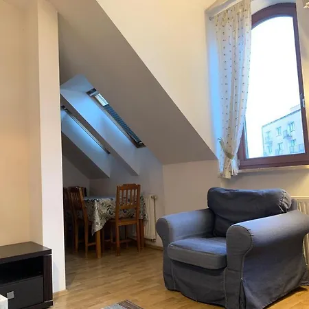 Spacious 2-rooms Penthouse In Center Διαμέρισμα *