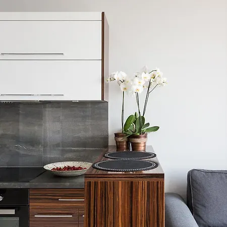 Apartament Warszawskie Delux Siedmiogrodzka