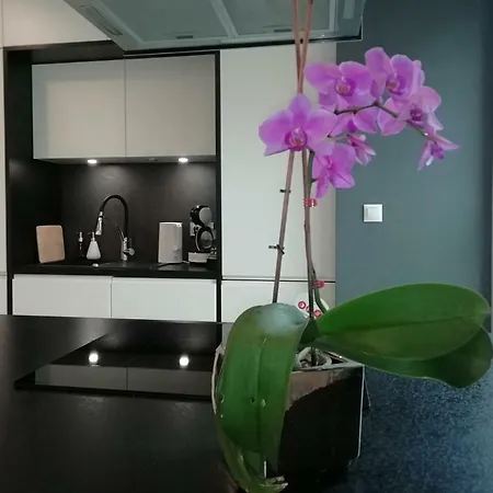 Woronicza Premium Apartament Warszawa