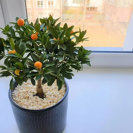 Kwatera prywatna Rakowiecka *